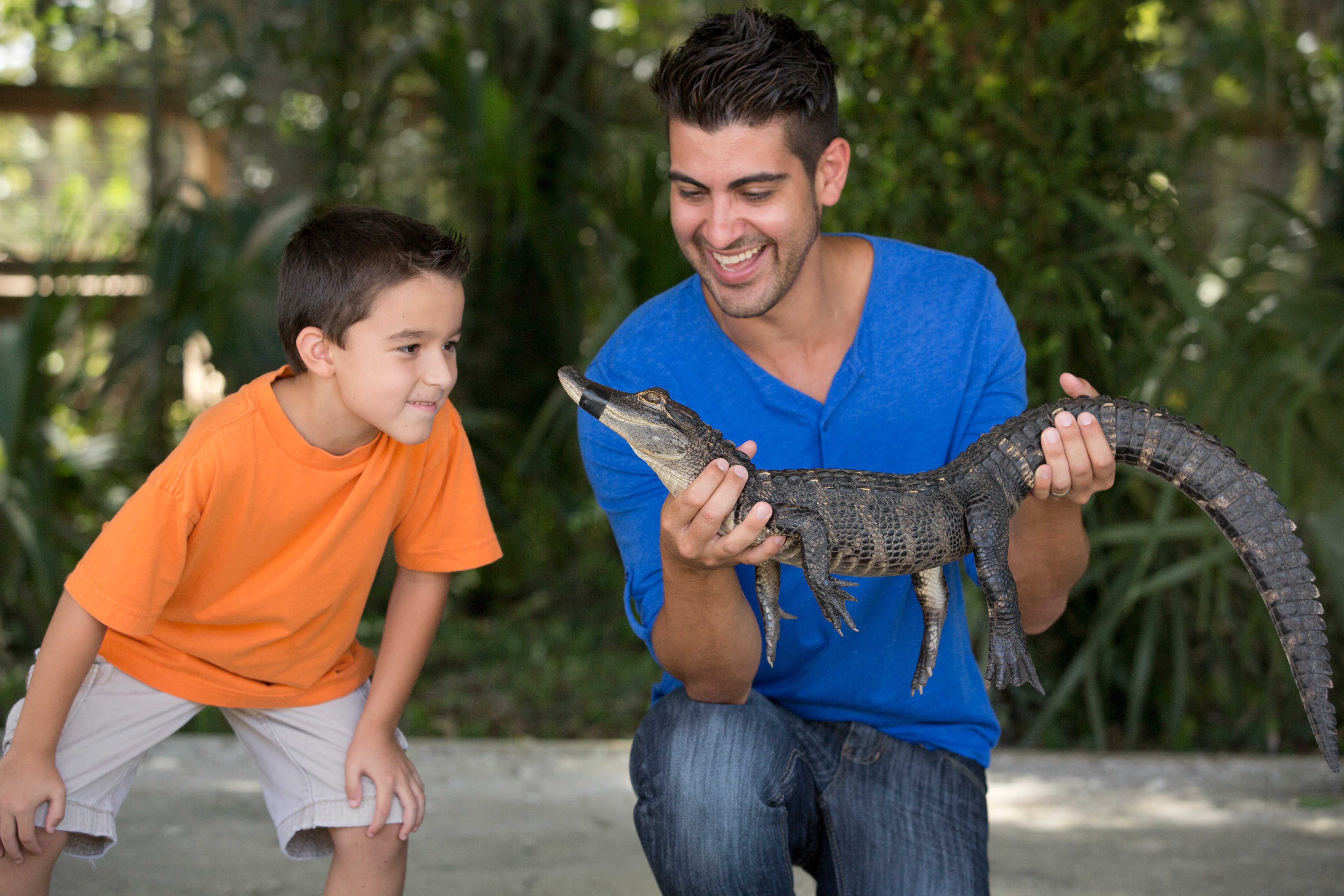 Why owning an exotic pet isn't a good idea