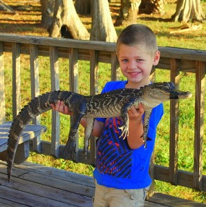 Gator_smaller