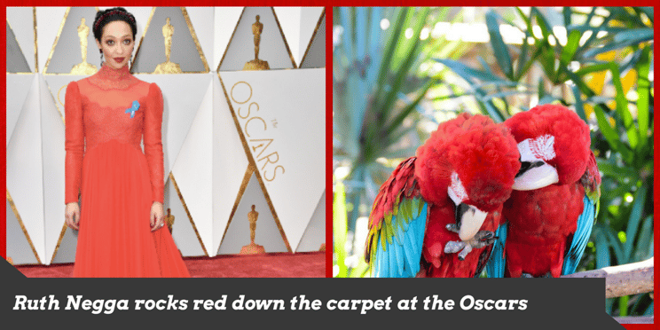 Ruth Negga rocks red down the carpet at the Oscars