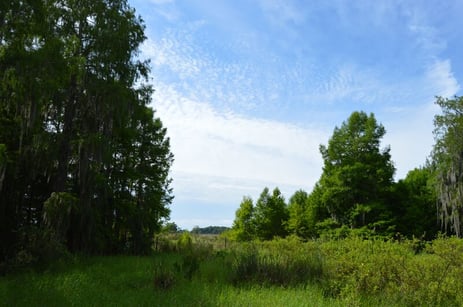 headwaters of everglades