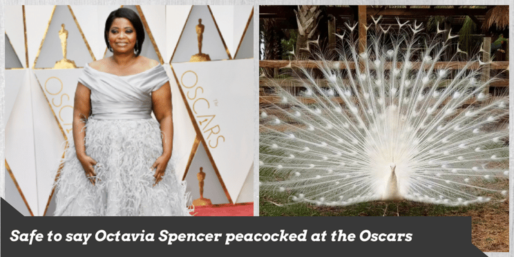 Octavia Specer peacocked in gray at the Oscars