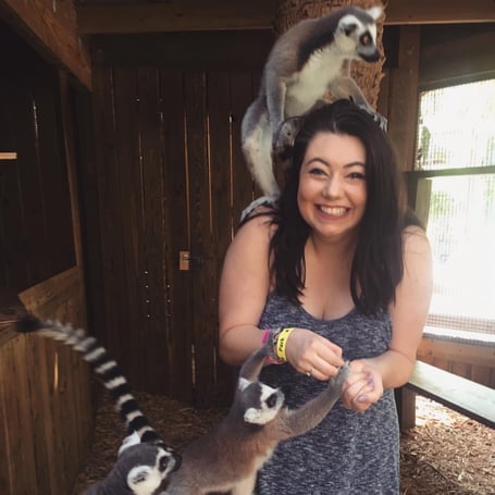 Guest enjoying a lemur animal encounter at Wild Florida Gator Park.