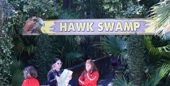 group of young girls in front of the hawk swamp at wild florida