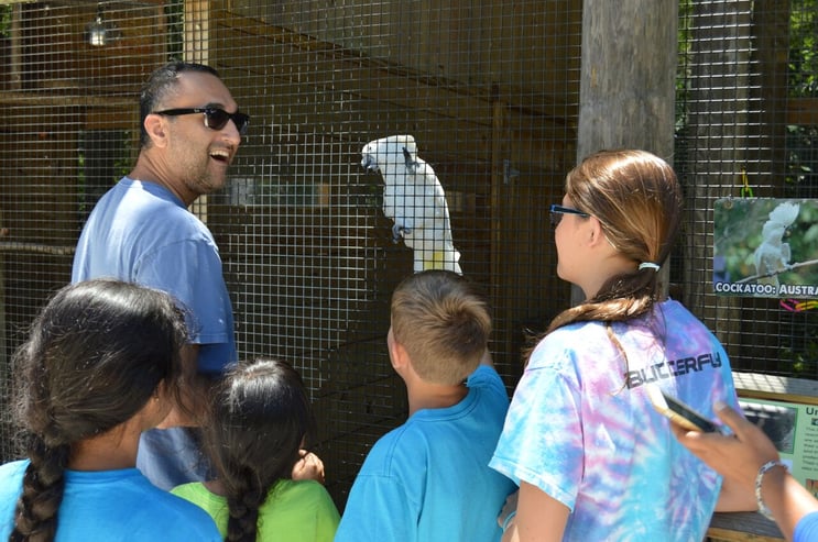 Gator and Wildlife Park at Wild Florida