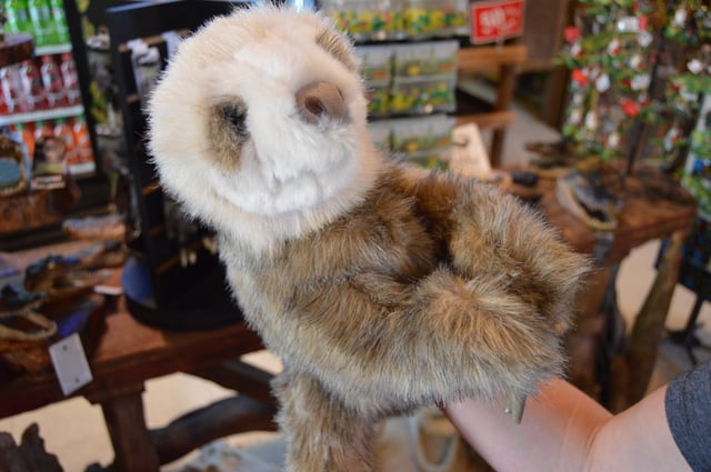 Unique Florida gifts sloth puppet