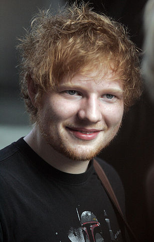 Ed Sheeran and airboat tours in Florida.jpg