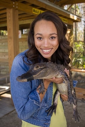 Fluffy the alligator