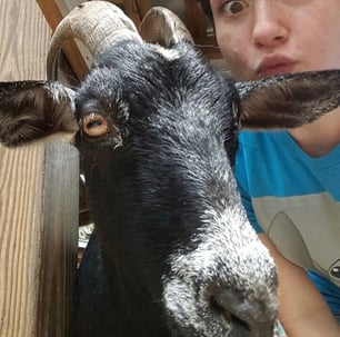 Young person takes a selfie with a goat at the Petting Zoo at Wild Florida