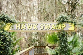 Hawk Swamp at Wild Florida