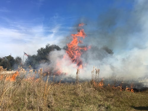 prescribed burns in florida