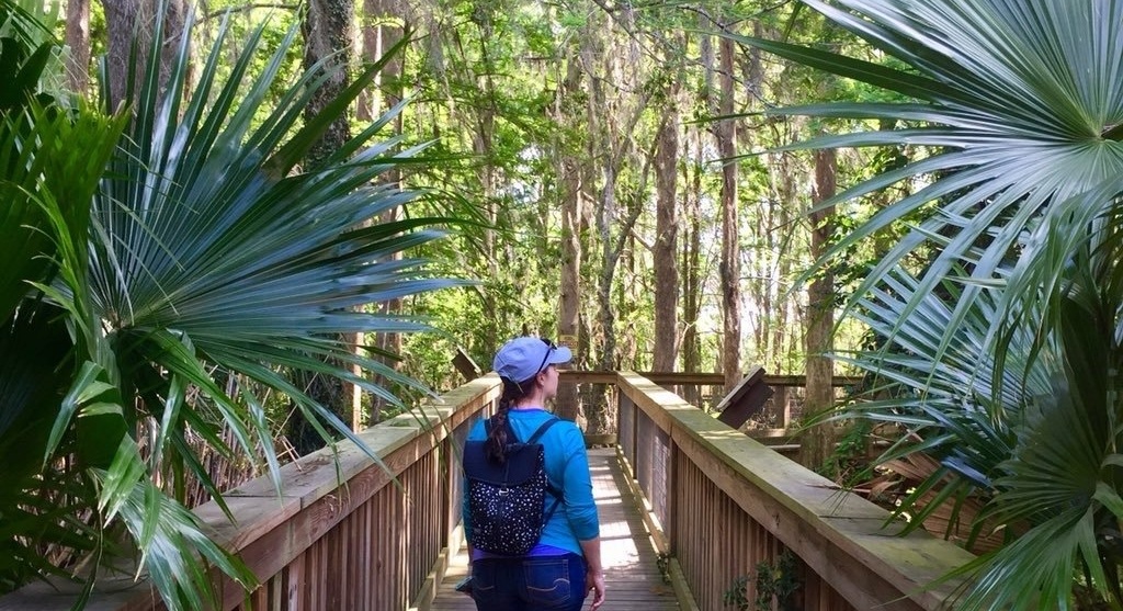 Hawk Swamp at Wild Florida