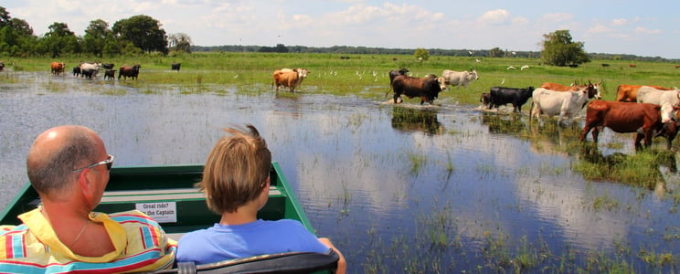 Florida airboat tours