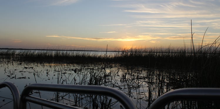 Everglades airboat ride