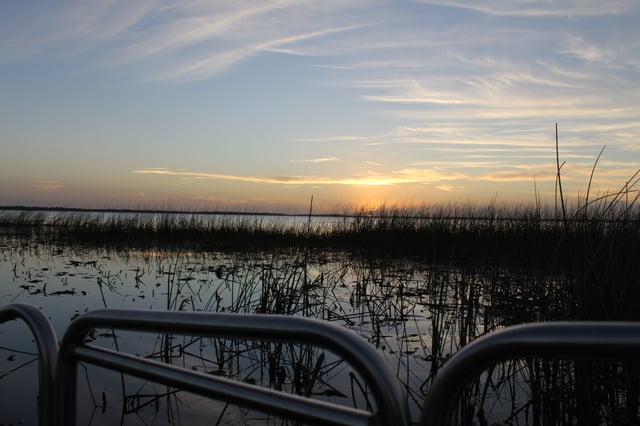 Orlando airboat tour