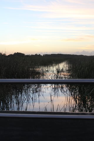 Sunset on an Orlando airboat ride