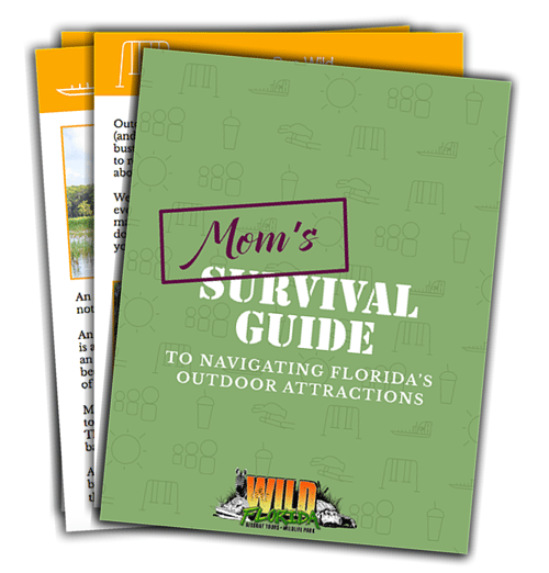 theme park survival guide