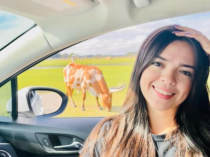 Smiling guest inside a car with a watusi bull grazing just outside the window at Wild Florida Drive-thru Safari Park.