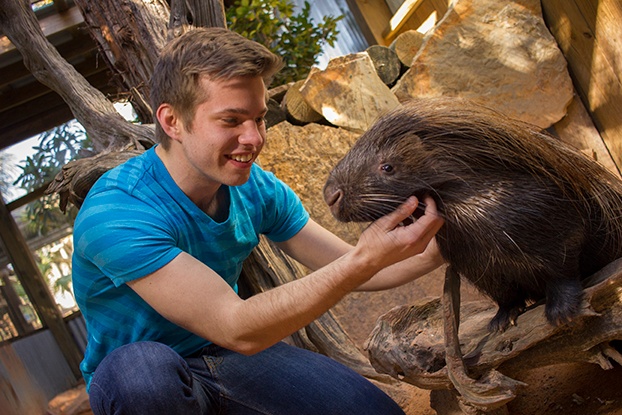 Porcupine encounter at Wild Florida Porcupine encounter at Wild Florida
