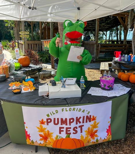 Pumpkin Fest 23