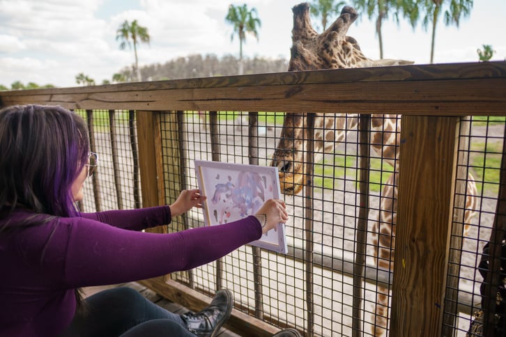 Leroy the reticulated giraffe paints on a canvas held by a guest during Wild Florida’s Giraffe Painting Experience.