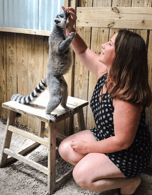 Animal Encounters