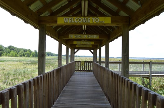 Wild Florida Airboat