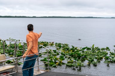 Wild Florida - Airboats - 67