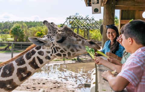 Wild Florida - Safari - Giraffe Encounter-13