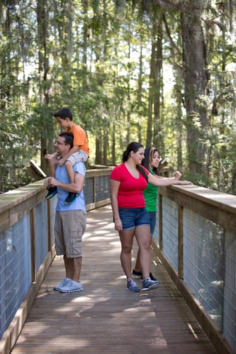 Wild Florida Father's Day