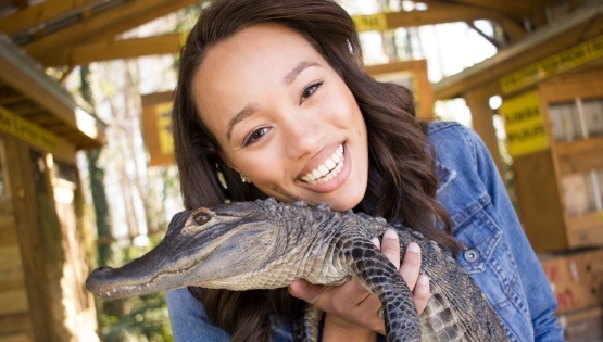 Young woman holding a small gator at Wild Florida Gator Park