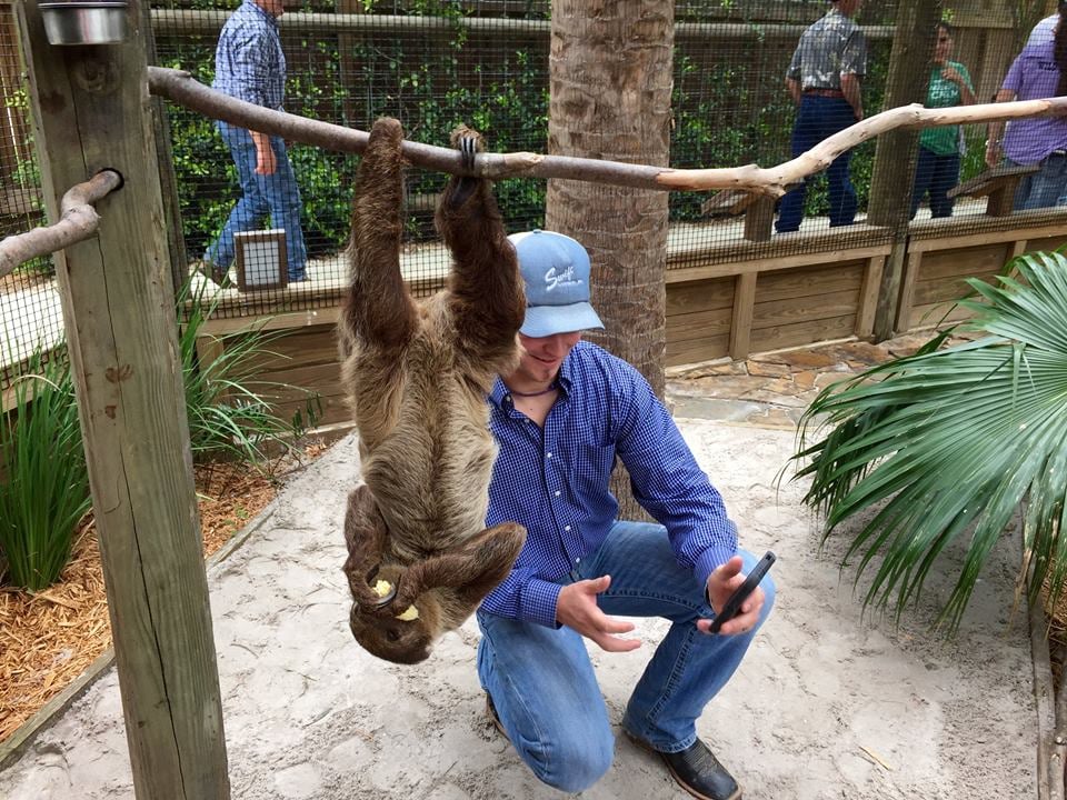 6 things that could happen during your sloth encounter at Wild Florida