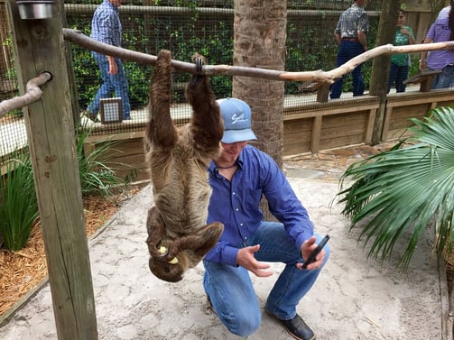 Wild_Florida_Slothie.jpg