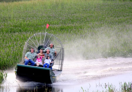 Wild Florida airboat ride