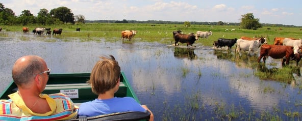 Airboat ride in Florida