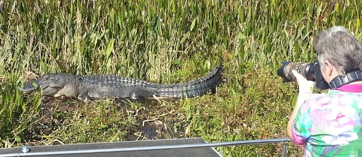 airboat rides in florida