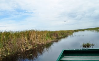orlando_airboat_rides