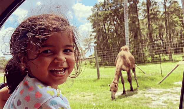 Child looking out the car window and smiling at a camel at Wild Florida's Drive-Thru Safari Park