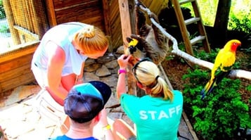 animal keeper at wild florida