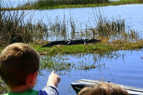 Orlando airboat ride