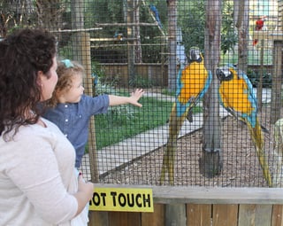 bird aviary at Wild Florida's Wildlife Park