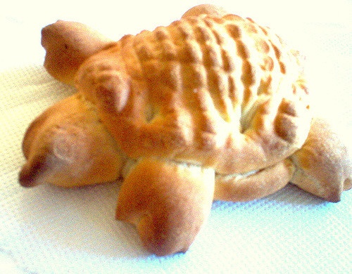 Turtle bread
