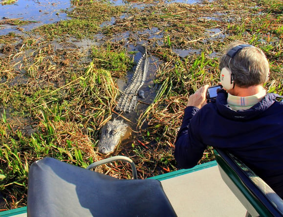 airboat_rides_in_Florida.jpg