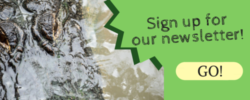 sign up for our newsletter