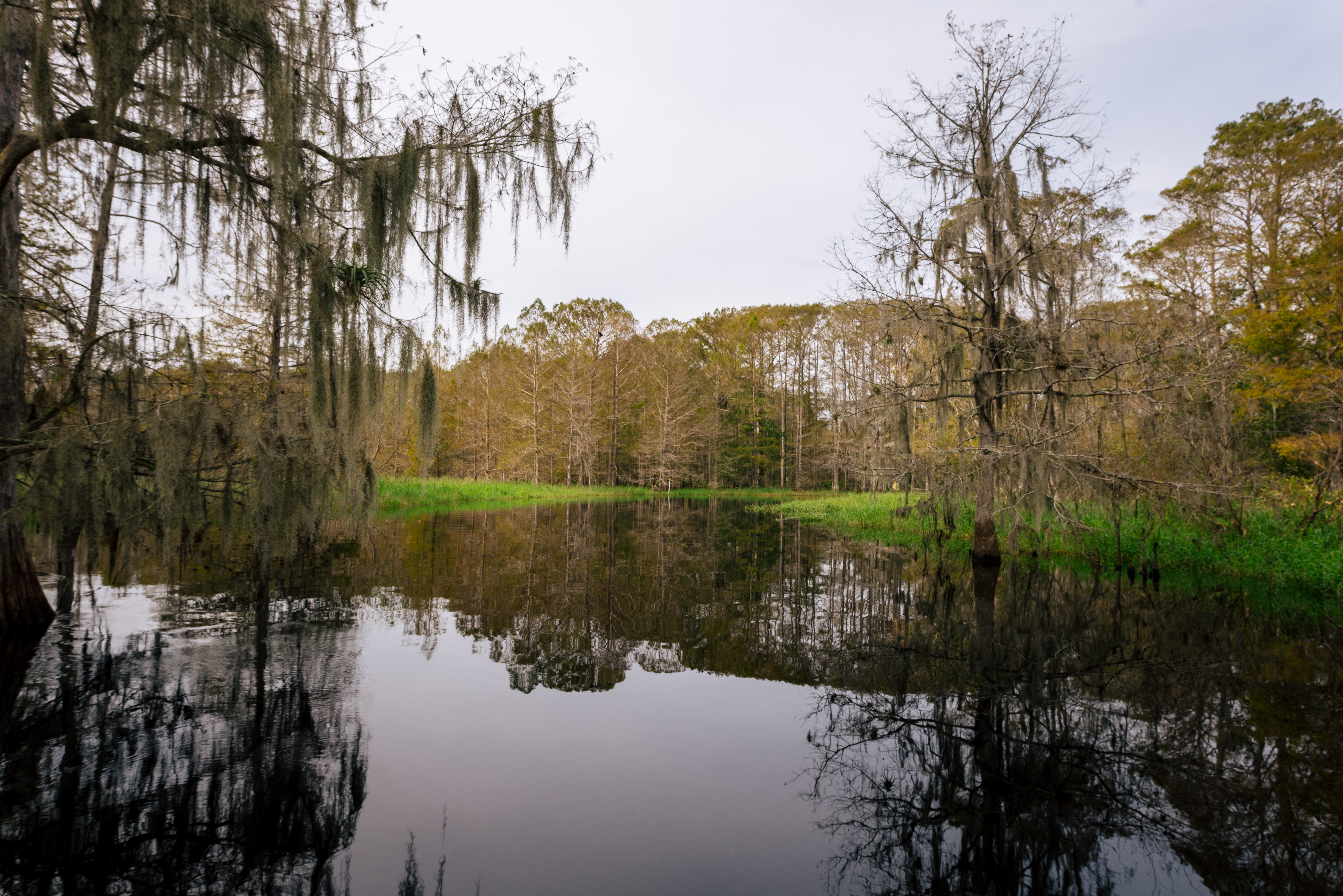 Explore the Best Things to Do in the Everglades - Wild Florida Blog