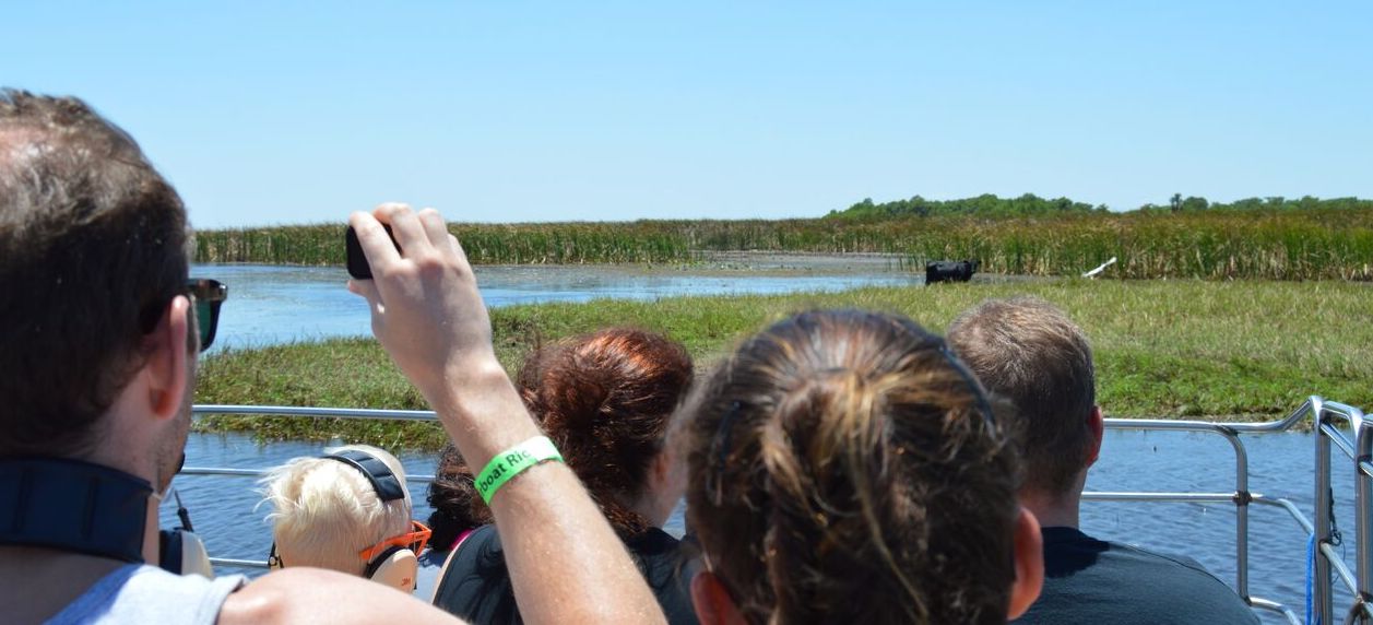 3 perks of going on airboat tours in Florida